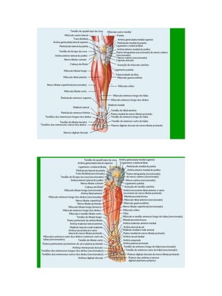 21/1/2011




      83
 