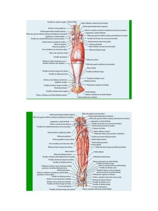 21/1/2011




      85
 