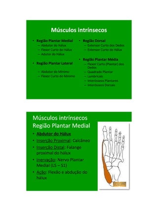 21/1/2011




           Músculos intrínsecos
• Região Plantar Medial       • Região Dorsal
   – Abdutor do Hálux           – Extensor Curto dos Dedos
   – Flexor Curto do Hálux      – Extensor Curto do Hálux
   – Adutor do Hálux
                              • Região Plantar Média
• Região Plantar Lateral        – Flexor Curto (Plantar) dos
                                  Dedos
   – Abdutor do Mínimo          – Quadrado Plantar
   – Flexor Curto do Mínimo     – Lumbricais
                                – Interósseos Plantares
                                – Interósseos Dorsais




Músculos intrínsecos
Região Plantar Medial
• Abdutor do Hálux
• Inserção Proximal: Calcâneo
• Inserção Distal: Falange
  proximal do hálux
• Inervação: Nervo Plantar
  Medial (L5 – S1)
• Ação: Flexão e abdução do
  hálux




                                                                     86
 