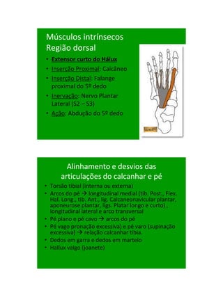 21/1/2011




Músculos intrínsecos
Região dorsal
• Extensor curto do Hálux
• Inserção Proximal: Calcâneo
• Inserção Distal: Falange
  proximal do 5º dedo
• Inervação: Nervo Plantar
  Lateral (S2 – S3)
• Ação: Abdução do 5º dedo




        Alinhamento e desvios das
      articulações do calcanhar e pé
• Torsão tibial (interna ou externa)
• Arcos do pé  longitudinal medial (tib. Post., Flex.
  Hal. Long., tib. Ant., lig. Calcaneonavicular plantar,
  aponeurose plantar, ligs. Platar longo e curto) ,
  longitudinal lateral e arco transversal
• Pé plano e pé cavo  arcos do pé
• Pé vago pronação excessiva) e pé varo (supinação
  excessiva)  relação calcanhar tibia.
• Dedos em garra e dedos em martelo
• Hallux valgo (joanete)




                                                                 92
 