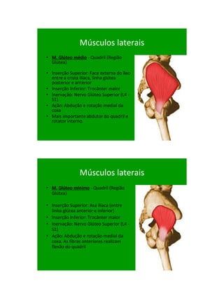 21/1/2011




                Músculos laterais
• M. Glúteo médio - Quadril (Região
  Glútea)

• Inserção Superior: Face e...