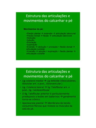 21/1/2011




    Estrutura das articulações e
   movimentos do calcanhar e pé

   •Movimentos do pé:

      •Flexão plant...