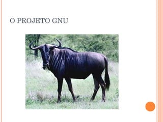 O PROJETO GNU
 