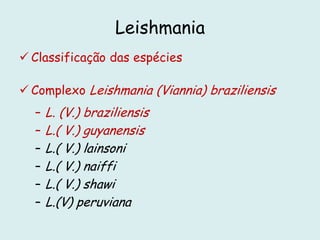 Leishmania
 Classificação das espécies
 Complexo Leishmania (Viannia) braziliensis
– L. (V.) braziliensis
– L.( V.) guyanensis
– L.( V.) lainsoni
– L.( V.) naiffi
– L.( V.) shawi
– L.(V) peruviana
 