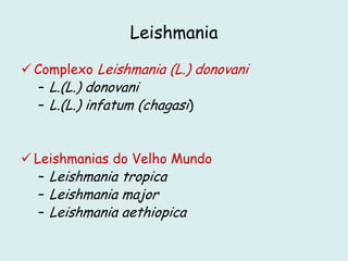 Leishmania
 Complexo Leishmania (L.) donovani
– L.(L.) donovani
– L.(L.) infatum (chagasi)
 Leishmanias do Velho Mundo
– Leishmania tropica
– Leishmania major
– Leishmania aethiopica
 
