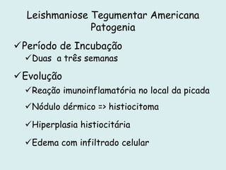 Leishmaniose Tegumentar Americana
Patogenia
Período de Incubação
Duas a três semanas
Evolução
Reação imunoinflamatória no local da picada
Nódulo dérmico => histiocitoma
Hiperplasia histiocitária
Edema com infiltrado celular
 