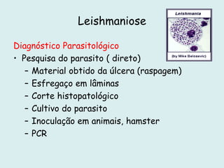 Leishmaniose
Diagnóstico Parasitológico
• Pesquisa do parasito ( direto)
– Material obtido da úlcera (raspagem)
– Esfregaço em lâminas
– Corte histopatológico
– Cultivo do parasito
– Inoculação em animais, hamster
– PCR
 
