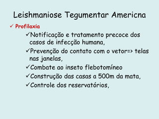 Leishmaniose Tegumentar Americna
 Profilaxia
Notificação e tratamento precoce dos
casos de infecção humana,
Prevenção do contato com o vetor=> telas
nas janelas,
Combate ao inseto flebotomíneo
Construção das casas a 500m da mata,
Controle dos reservatórios,
 
