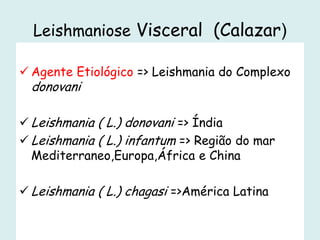 Leishmaniose Visceral (Calazar)
 Agente Etiológico => Leishmania do Complexo
donovani
 Leishmania ( L.) donovani => Índia
 Leishmania ( L.) infantum => Região do mar
Mediterraneo,Europa,África e China
 Leishmania ( L.) chagasi =>América Latina
 
