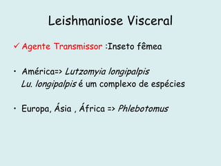 Leishmaniose Visceral
 Agente Transmissor :Inseto fêmea
• América=> Lutzomyia longipalpis
Lu. longipalpis é um complexo de espécies
• Europa, Ásia , África => Phlebotomus
 