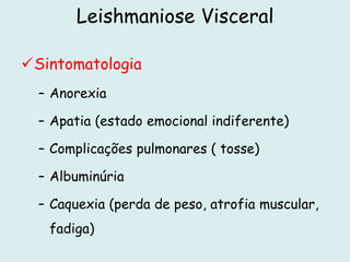 Leishmaniose Visceral
Sintomatologia
– Anorexia
– Apatia (estado emocional indiferente)
– Complicações pulmonares ( tosse)
– Albuminúria
– Caquexia (perda de peso, atrofia muscular,
fadiga)
 