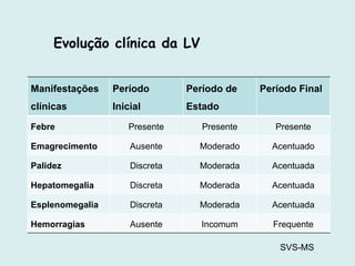 Manifestações
clínicas
Período
Inicial
Período de
Estado
Período Final
Febre Presente Presente Presente
Emagrecimento Ausente Moderado Acentuado
Palidez Discreta Moderada Acentuada
Hepatomegalia Discreta Moderada Acentuada
Esplenomegalia Discreta Moderada Acentuada
Hemorragias Ausente Incomum Frequente
Evolução clínica da LV
SVS-MS
 