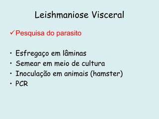Leishmaniose Visceral
Pesquisa do parasito
• Esfregaço em lâminas
• Semear em meio de cultura
• Inoculação em animais (hamster)
• PCR
 