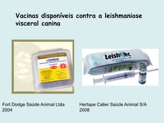Fort Dodge Saúde Animal Ltda
2004
Vacinas disponíveis contra a leishmaniose
visceral canina
Hertape Calier Saúde Animal S/A
2008
 