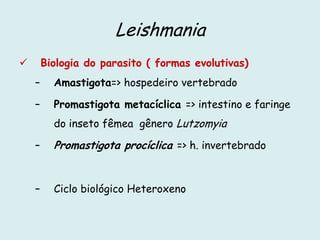 Leishmania
 Biologia do parasito ( formas evolutivas)
– Amastigota=> hospedeiro vertebrado
– Promastigota metacíclica => intestino e faringe
do inseto fêmea gênero Lutzomyia
– Promastigota procíclica => h. invertebrado
– Ciclo biológico Heteroxeno
 