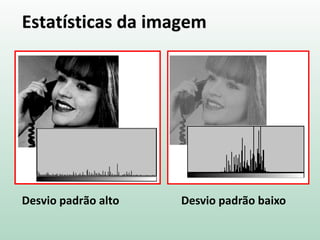 Estatísticas da imagem
Desvio padrão alto Desvio padrão baixo
 