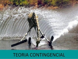 TEORIA CONTINGENCIAL
 