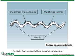Prof.ª Dr.ª Jacqueline Kerkhoff Richoppo
Bactéria de crescimento lento
 