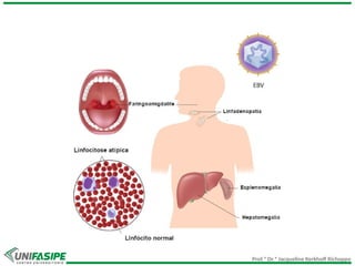 Prof.ª Dr.ª Jacqueline Kerkhoff Richoppo
 