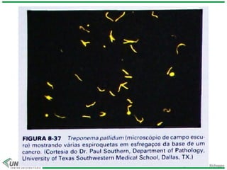 Prof.ª Dr.ª Jacqueline Kerkhoff Richoppo
 