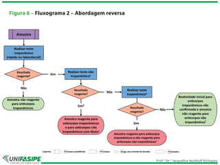 Prof.ª Dr.ª Jacqueline Kerkhoff Richoppo
 