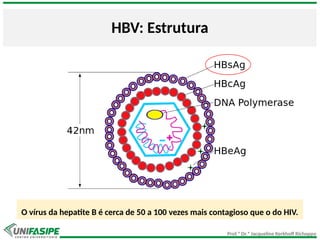 Prof.ª Dr.ª Jacqueline Kerkhoff Richoppo
HBV: Estrutura
O vírus da hepatite B é cerca de 50 a 100 vezes mais contagioso que o do HIV.
 