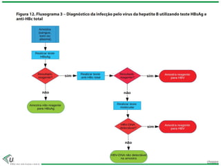 Prof.ª Dr.ª Jacqueline Kerkhoff Richoppo
 