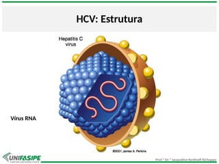 Prof.ª Dr.ª Jacqueline Kerkhoff Richoppo
HCV: Estrutura
Vírus RNA
 