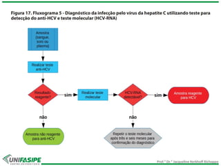 Prof.ª Dr.ª Jacqueline Kerkhoff Richoppo
 