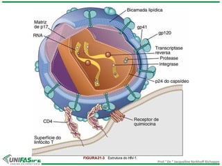 Prof.ª Dr.ª Jacqueline Kerkhoff Richoppo
 