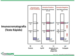 Prof.ª Dr.ª Jacqueline Kerkhoff Richoppo
Imunocromatografia
(Teste Rápido)
 