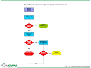 Prof.ª Dr.ª Jacqueline Kerkhoff Richoppo
 