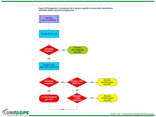 Prof.ª Dr.ª Jacqueline Kerkhoff Richoppo
 