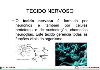 TECIDO NERVOSO
nervoso é formado por• O tecido
neurônios
protetoras
e também por células
e de sustentação, chamadas
neuróglias. Este tecido gerencia todas as
funções vitais do organismo.
 