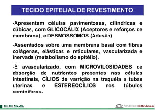 TECIDO EPITELIAL DE REVESTIMENTO
-Apresentam células pavimentosas, cilíndricas e
cúbicas, com GLICOCÁLIX (Aceptores e reforços de
membrana), e DESMOSSOMOS (Adesão).
-Assentados sobre uma membrana basal com fibras
colágenas, elásticas e reticulares, vascularizada e
inervada (metabolismo do epitélio).
-É avascularizado, com MICROVILOSIDADES de
absorção de nutrientes presentes nas células
intestinais, CÍLIOS de varrição na traquéia e tubas
uterinas e ESTEREOCÍLIOS nos túbulos
seminíferos.
 
