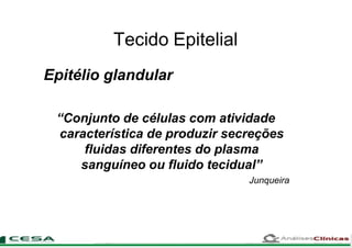 Tecido Epitelial
Epitélio glandular
“Conjunto de células com atividade
característica de produzir secreções
fluidas diferentes do plasma
sanguíneo ou fluido tecidual”
Junqueira
 