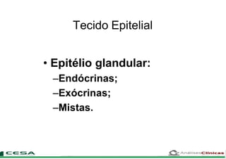 Tecido Epitelial
• Epitélio glandular:
–Endócrinas;
–Exócrinas;
–Mistas.
 