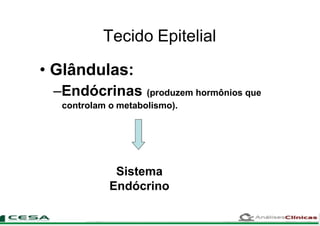Tecido Epitelial
• Glândulas:
–Endócrinas (produzem hormônios que
controlam o metabolismo).
Sistema
Endócrino
 