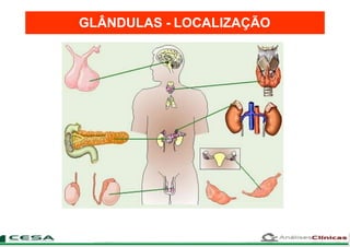 GLÂNDULAS - LOCALIZAÇÃO
 