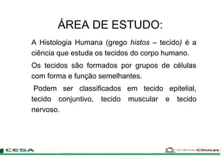 ÁREA DE ESTUDO:
A Histologia Humana (grego histos – tecido) é a
ciência que estuda os tecidos do corpo humano.
Os tecidos são formados por grupos de células
com forma e função semelhantes.
Podem ser classificados em tecido epitelial,
tecido conjuntivo, tecido muscular e tecido
nervoso.
 