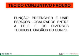 TECIDO CONJUNTIVO FROUXO
FUNÇÃO: PREENCHER E UNIR
ESPAÇOS LOCALIZADOS ENTRE
A PELE E OS DIVERSOS
TECIDOS E ORGÃOS DO CORPO.
 