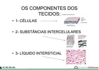 OS COMPONENTES DOS
TECIDOS:
• 1- CÉLULAS
• 2- SUBSTÂNCIAS INTERCELULARES
• 3- LÍQUIDO INTERSTICIAL
 