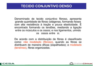 Denominado de tecido conjuntivo fibroso, apresenta
grande quantidade de fibras colágenas, formando feixes
com alta resistência à tração e pouca elasticidade. É
encontrado formando os tendões, mediando a ligação
entre os músculos e os ossos; e nos ligamentos, unindo
os ossos entre si.
De acordo com a distribuição de fibras é classificado
como: não modelado (fibroso), quando as fibras se
distribuem de maneira difusa (espalhadas); e modelado
(tendíneo), fibras organizadas.
TECIDO CONJUNTIVO DENSO
 