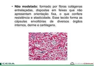 • Não modelado: formado por fibras colágenas
entrelaçadas,
apresentam
dispostas
orientação
em feixes que não
fixa, o que confere
resistência e elasticidade. Esse tecido forma as
cápsulas envoltórias de diversos órgãos
internos, derme e cartilagens.
 