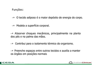 Funções:
-+ O tecido adiposo é o maior depósito de energia do corpo.
-+ Modela a superfície corporal.
-+ Absorver choques mecânicos, principalmente na planta
dos pés e na palma das mãos.
-+ Contribui para o isolamento térmico do organismo.
-+ Preenche espaços entre outros tecidos e auxilia a manter
os órgãos em posições normais
 