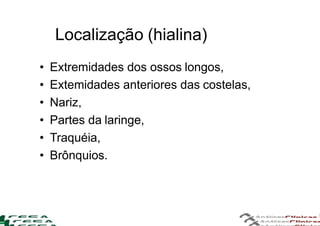 Localização (hialina)
• Extremidades dos ossos longos,
• Extemidades anteriores das costelas,
• Nariz,
• Partes da laringe,
• Traquéia,
• Brônquios.
 