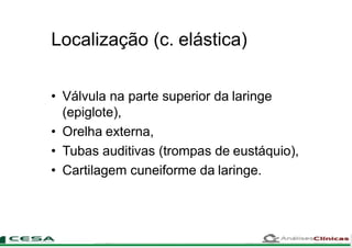 Localização (c. elástica)
• Válvula na parte superior da laringe
(epiglote),
• Orelha externa,
• Tubas auditivas (trompas de eustáquio),
• Cartilagem cuneiforme da laringe.
 