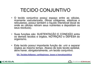 TECIDO CONJUNTIVO
• O tecido conjuntivo possui espaço entre as células,
ricamente vascularizado, (fibras colágenas, elásticas e
reticulares), possui também o líquido intersticial (local de
onde as células retiram seus nutrientes e depositam os
seus resíduos).
• Suas funções são: SUSTENTAÇÃO E CONEXÃO entre
os demais tecidos e órgãos, NUTRIÇÃO e DEFESA do
organismo.
• Este tecido possui importante função de: unir e separar
órgãos ao mesmo tempo. Abaixo de todo tecido epitelial,
deve haver, obrigatoriamente, um tecido conjuntivo.
EX: Tecidos Adiposo, cartilaginoso, ósseo e hematopoiético
 