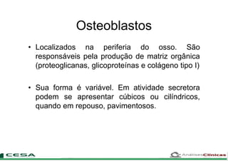 Osteoblastos
• Localizados na periferia do osso. São
responsáveis pela produção de matriz orgânica
(proteoglicanas, glicoproteínas e colágeno tipo I)
• Sua forma é variável. Em atividade secretora
podem se apresentar cúbicos ou cilíndricos,
quando em repouso, pavimentosos.
 