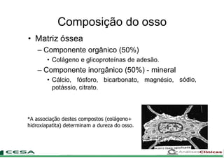 Composição do osso
sódio,
• Matriz óssea
– Componente orgânico (50%)
• Colágeno e glicoproteínas de adesão.
– Componente inorgânico (50%) - mineral
• Cálcio, fósforo, bicarbonato, magnésio,
potássio, citrato.
*A associação destes compostos (colágeno+
hidroxiapatita) determinam a dureza do osso.
 
